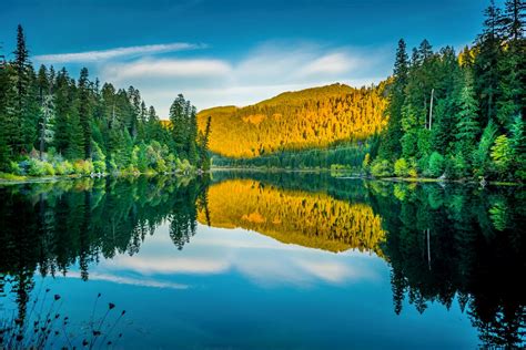 umpqua national forest|umpqua national forest website.